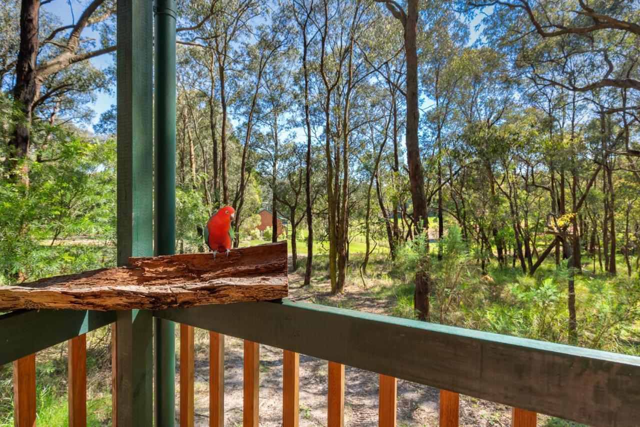 Cockatoo Cottages Bagian luar foto